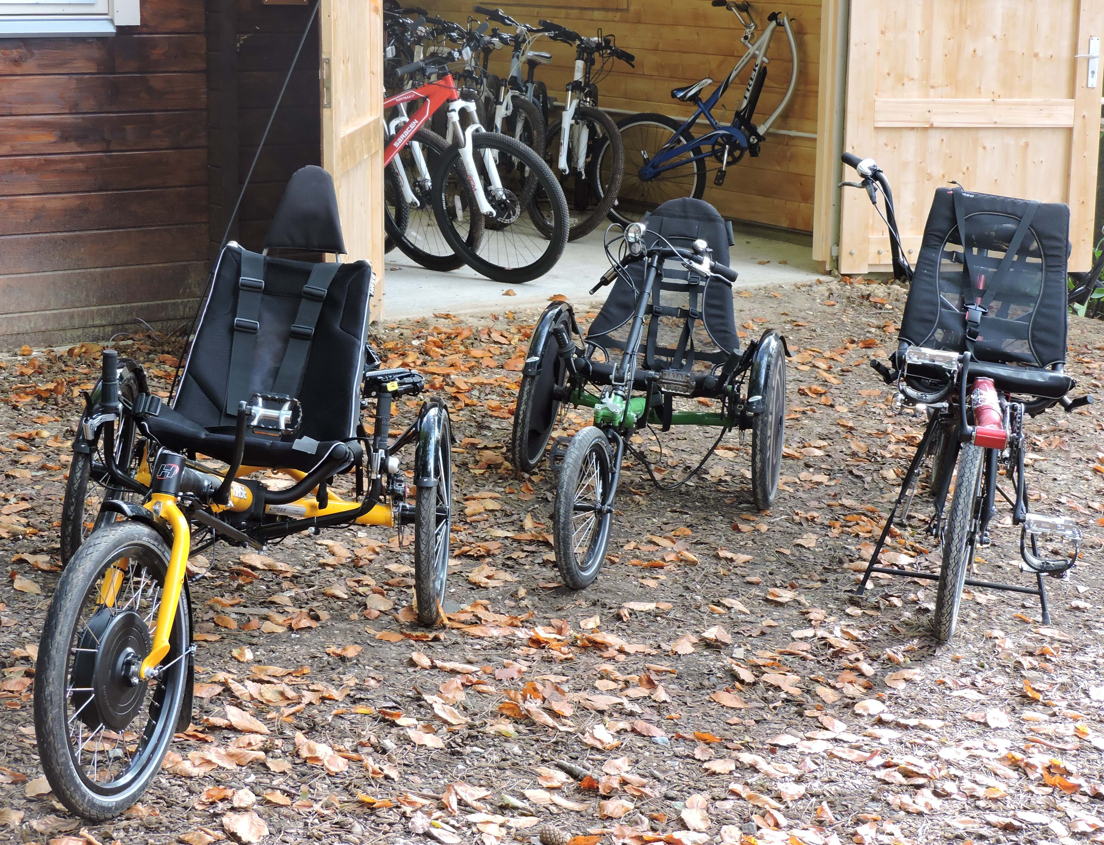 Adapted cycles